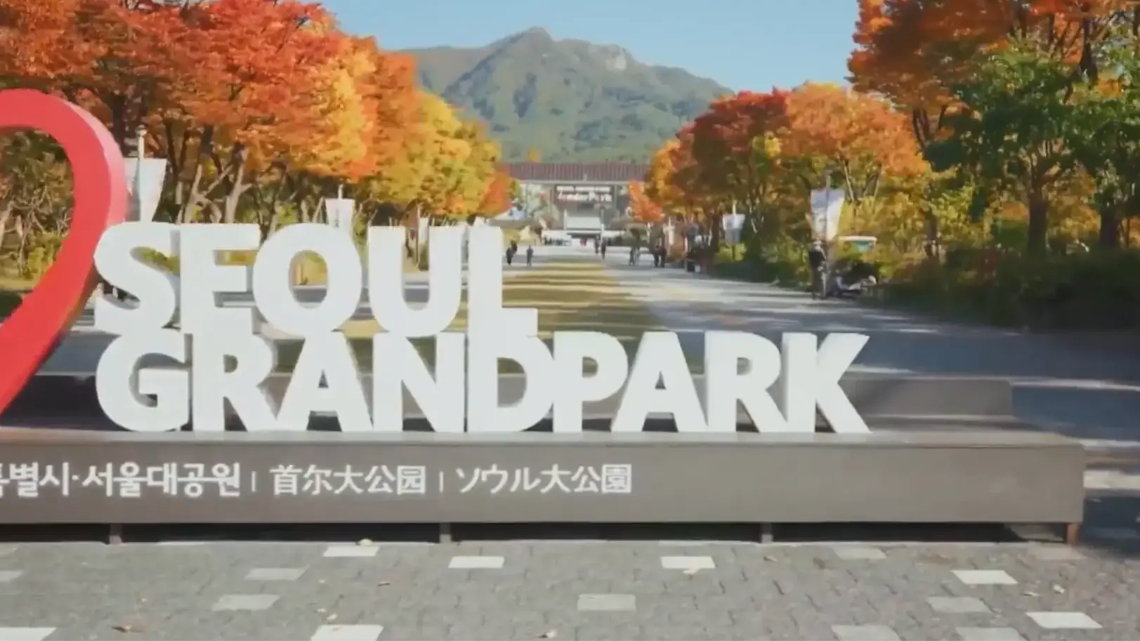 Công viên Hàn Quốc chuyển mình thành bức tranh vàng mùa thu